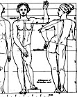 The Sculptor and Art Student's Guide to the Proportions of the Human Form