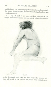figure in action